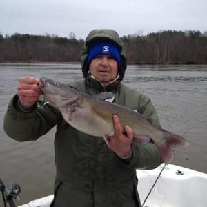 Meet your Posher, Gail